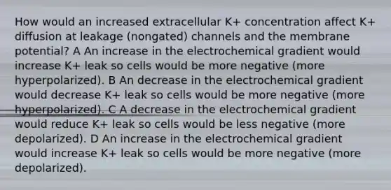 How would an increased extracellular K+ concentration affect K+ diffusion at leakage (nongated) channels and the membrane potential? A An increase in the electrochemical gradient would increase K+ leak so cells would be more negative (more hyperpolarized). B An decrease in the electrochemical gradient would decrease K+ leak so cells would be more negative (more hyperpolarized). C A decrease in the electrochemical gradient would reduce K+ leak so cells would be less negative (more depolarized). D An increase in the electrochemical gradient would increase K+ leak so cells would be more negative (more depolarized).