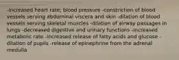 -increased heart rate; blood pressure -constriction of blood vessels serving abdominal viscera and skin -dilation of blood vessels serving skeletal muscles -dilation of airway passages in lungs -decreased digestive and urinary functions -increased metabolic rate -increased release of fatty acids and glucose -dilation of pupils -release of epinephrine from the adrenal medulla