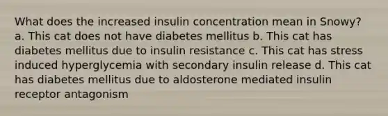 What does the increased insulin concentration mean in Snowy? a. This cat does not have diabetes mellitus b. This cat has diabetes mellitus due to insulin resistance c. This cat has stress induced hyperglycemia with secondary insulin release d. This cat has diabetes mellitus due to aldosterone mediated insulin receptor antagonism