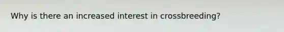 Why is there an increased interest in crossbreeding?