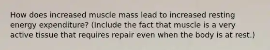 How does increased muscle mass lead to increased resting energy expenditure? (Include the fact that muscle is a very active tissue that requires repair even when the body is at rest.)