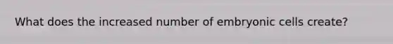 What does the increased number of embryonic cells create?