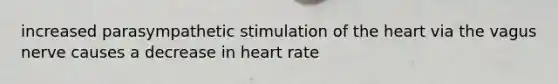 increased parasympathetic stimulation of the heart via the vagus nerve causes a decrease in heart rate