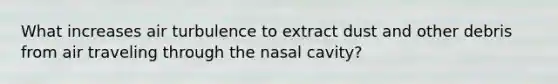 What increases air turbulence to extract dust and other debris from air traveling through the nasal cavity?