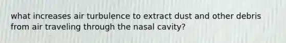 what increases air turbulence to extract dust and other debris from air traveling through the nasal cavity?