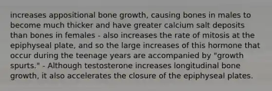 increases appositional <a href='https://www.questionai.com/knowledge/ki4t7AlC39-bone-growth' class='anchor-knowledge'>bone growth</a>, causing bones in males to become much thicker and have greater calcium salt deposits than bones in females - also increases the rate of mitosis at the epiphyseal plate, and so the large increases of this hormone that occur during the teenage years are accompanied by "growth spurts." - Although testosterone increases longitudinal bone growth, it also accelerates the closure of the epiphyseal plates.