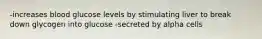 -increases blood glucose levels by stimulating liver to break down glycogen into glucose -secreted by alpha cells