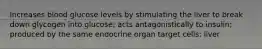 Increases blood glucose levels by stimulating the liver to break down glycogen into glucose; acts antagonistically to insulin; produced by the same endocrine organ target cells: liver