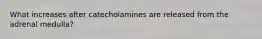 What increases after catecholamines are released from the adrenal medulla?