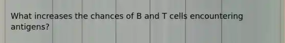 What increases the chances of B and T cells encountering antigens?