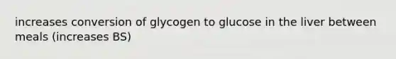 increases conversion of glycogen to glucose in the liver between meals (increases BS)