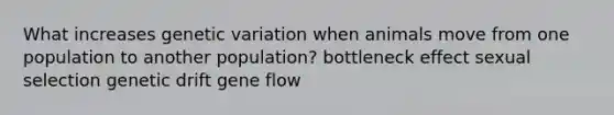 What increases genetic variation when animals move from one population to another population? bottleneck effect sexual selection genetic drift gene flow