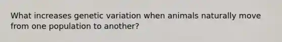 What increases genetic variation when animals naturally move from one population to another?