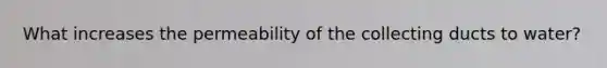 What increases the permeability of the collecting ducts to water?