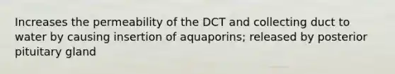 Increases the permeability of the DCT and collecting duct to water by causing insertion of aquaporins; released by posterior pituitary gland