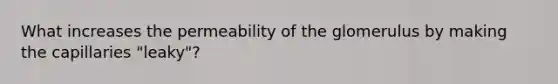 What increases the permeability of the glomerulus by making the capillaries "leaky"?