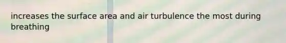 increases the surface area and air turbulence the most during breathing