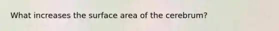 What increases the surface area of the cerebrum?