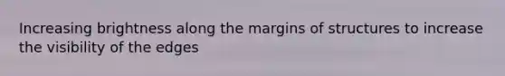 Increasing brightness along the margins of structures to increase the visibility of the edges