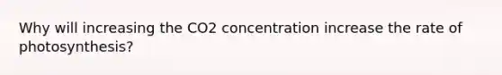 Why will increasing the CO2 concentration increase the rate of photosynthesis?