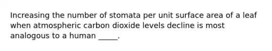 Increasing the number of stomata per unit surface area of a leaf when atmospheric carbon dioxide levels decline is most analogous to a human _____.