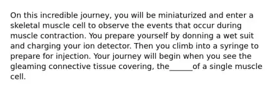 On this incredible journey, you will be miniaturized and enter a skeletal muscle cell to observe the events that occur during muscle contraction. You prepare yourself by donning a wet suit and charging your ion detector. Then you climb into a syringe to prepare for injection. Your journey will begin when you see the gleaming connective tissue covering, the______of a single muscle cell.