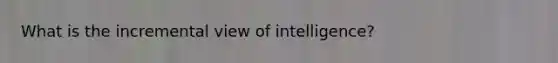 What is the incremental view of intelligence?