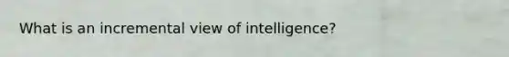 What is an incremental view of intelligence?