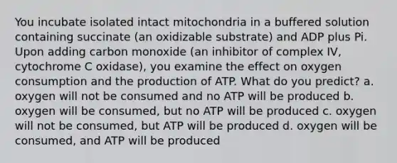 You incubate isolated intact mitochondria in a buffered solution containing succinate (an oxidizable substrate) and ADP plus Pi. Upon adding carbon monoxide (an inhibitor of complex IV, cytochrome C oxidase), you examine the effect on oxygen consumption and the production of ATP. What do you predict? a. oxygen will not be consumed and no ATP will be produced b. oxygen will be consumed, but no ATP will be produced c. oxygen will not be consumed, but ATP will be produced d. oxygen will be consumed, and ATP will be produced