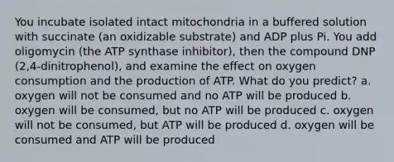 You incubate isolated intact mitochondria in a buffered solution with succinate (an oxidizable substrate) and ADP plus Pi. You add oligomycin (the ATP synthase inhibitor), then the compound DNP (2,4-dinitrophenol), and examine the effect on oxygen consumption and the production of ATP. What do you predict? a. oxygen will not be consumed and no ATP will be produced b. oxygen will be consumed, but no ATP will be produced c. oxygen will not be consumed, but ATP will be produced d. oxygen will be consumed and ATP will be produced