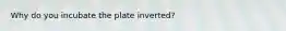 Why do you incubate the plate inverted?