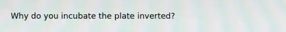 Why do you incubate the plate inverted?