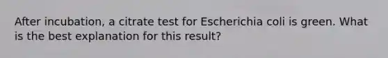 After incubation, a citrate test for Escherichia coli is green. What is the best explanation for this result?