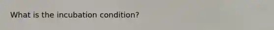 What is the incubation condition?