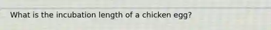 What is the incubation length of a chicken egg?