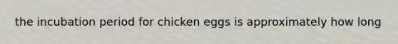 the incubation period for chicken eggs is approximately how long