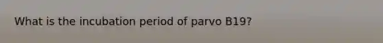 What is the incubation period of parvo B19?