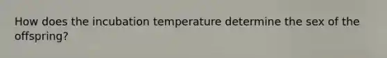 How does the incubation temperature determine the sex of the offspring?