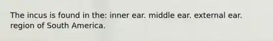 The incus is found in the: inner ear. middle ear. external ear. region of South America.