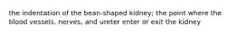 the indentation of the bean-shaped kidney; the point where the blood vessels, nerves, and ureter enter or exit the kidney