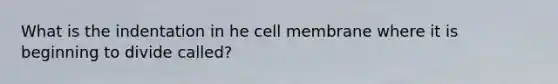 What is the indentation in he cell membrane where it is beginning to divide called?