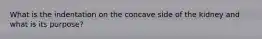 What is the indentation on the concave side of the kidney and what is its purpose?