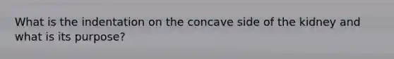 What is the indentation on the concave side of the kidney and what is its purpose?