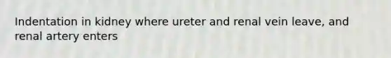 Indentation in kidney where ureter and renal vein leave, and renal artery enters