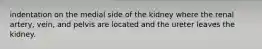 indentation on the medial side of the kidney where the renal artery, vein, and pelvis are located and the ureter leaves the kidney.