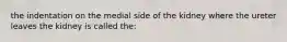 the indentation on the medial side of the kidney where the ureter leaves the kidney is called the: