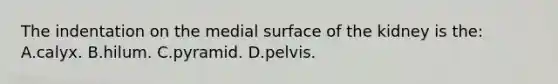 The indentation on the medial surface of the kidney is the: A.calyx. B.hilum. C.pyramid. D.pelvis.