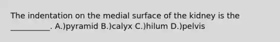 The indentation on the medial surface of the kidney is the __________. A.)pyramid B.)calyx C.)hilum D.)pelvis