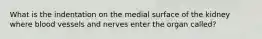 What is the indentation on the medial surface of the kidney where blood vessels and nerves enter the organ called?