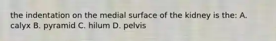 the indentation on the medial surface of the kidney is the: A. calyx B. pyramid C. hilum D. pelvis